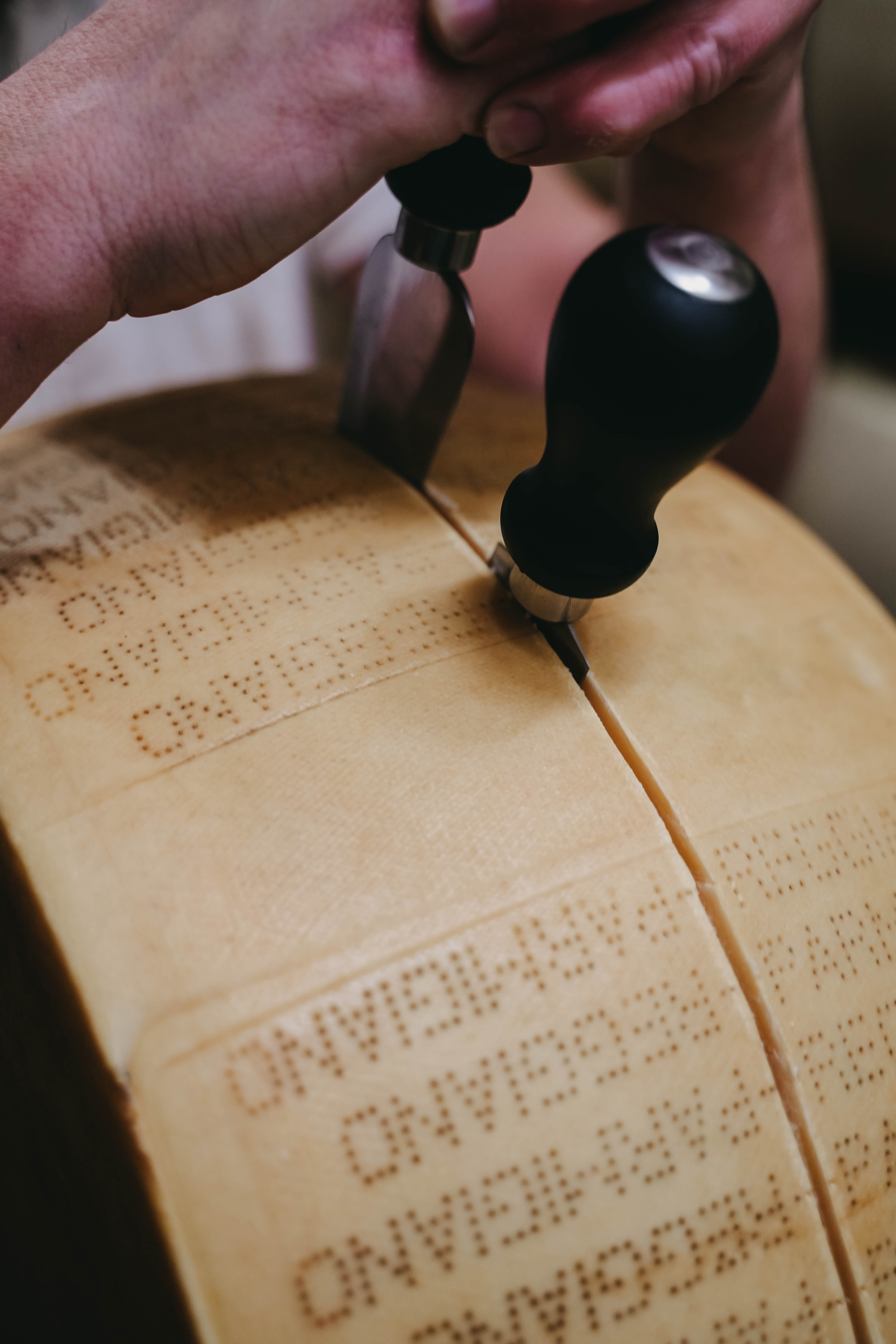 I Segreti del Parmigiano Reggiano Experience: dalla Produzione alla Stagionatura